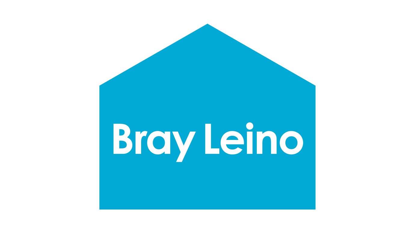 Bray Leino house logo