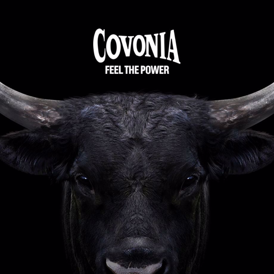 Integratedcomms Covonia