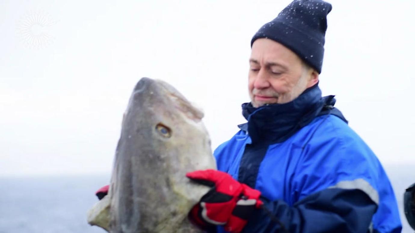 Go ahead Michel, make my Skrei
