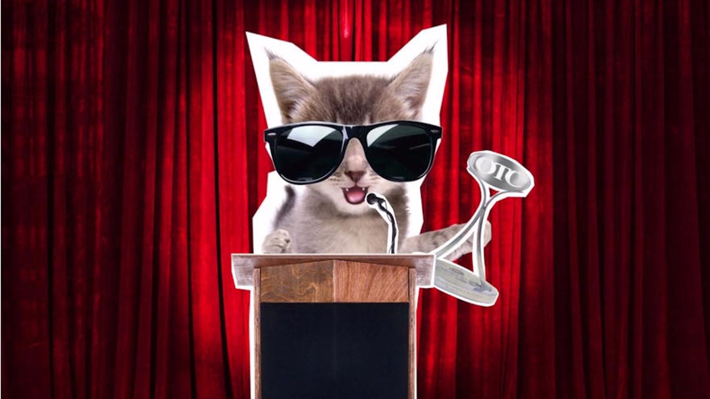 Kitten says thanks for the OTC Award